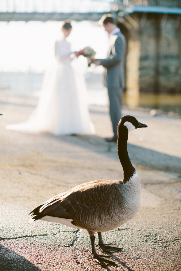 Tire Swing Photography | Cincinnati Wedding-10