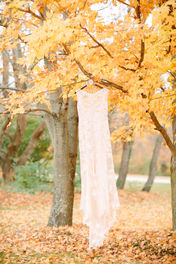 Tire Swing Photography | Cincinnati Wedding Photographers-1