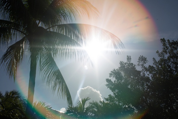 Tire Swing Photography | Blog_0042