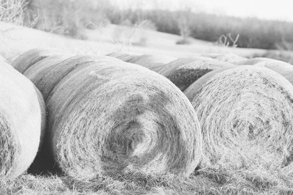 Tire Swing Photography | Engagement_0036