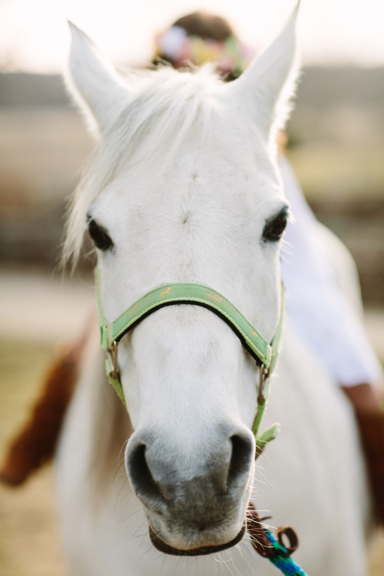 Tire Swing Photography | Horse & Child photography_0007