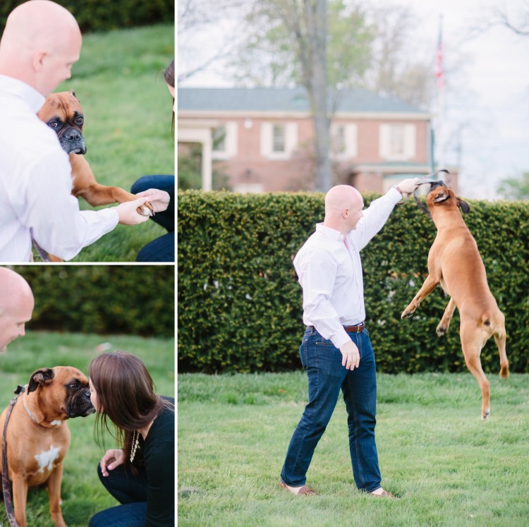 Tire Swing Photography | Miami University Engagement Photographers_0002