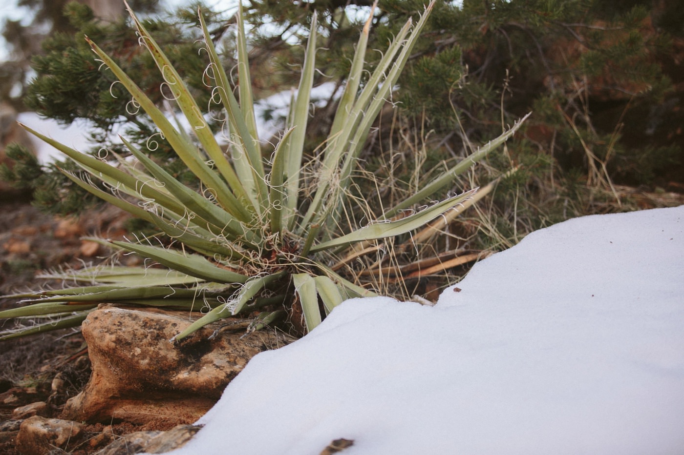 Mesa Verde National Park Photographers_0101