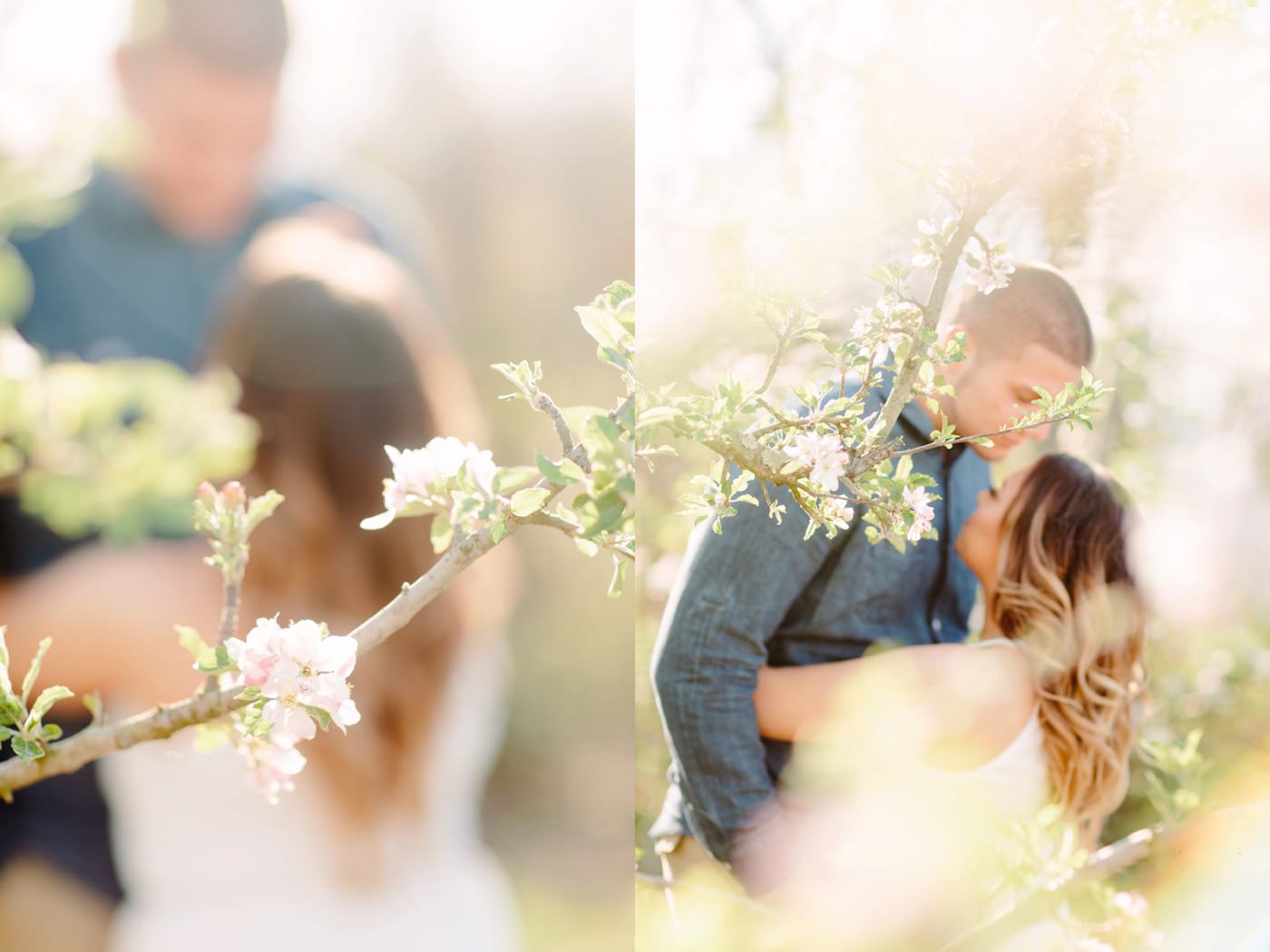 Tire Swing Photography | Cincinnati, Ohio Spring Orchard Session_0000